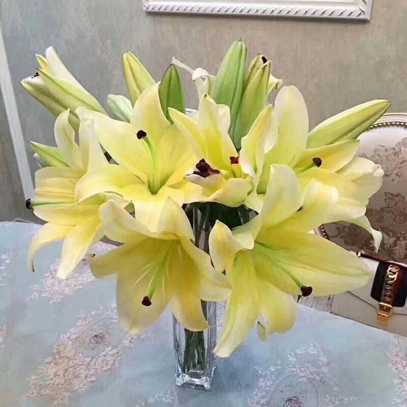 全新鲜花云南基地直发家用水养花束香水百合花直批