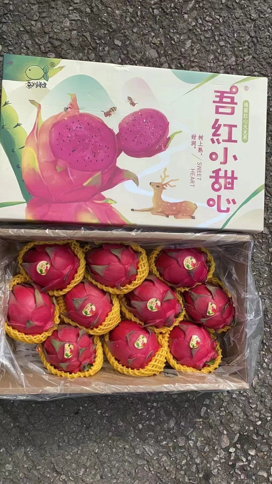 京东包邮~海南树上熟红心火龙果小甜心蜜宝