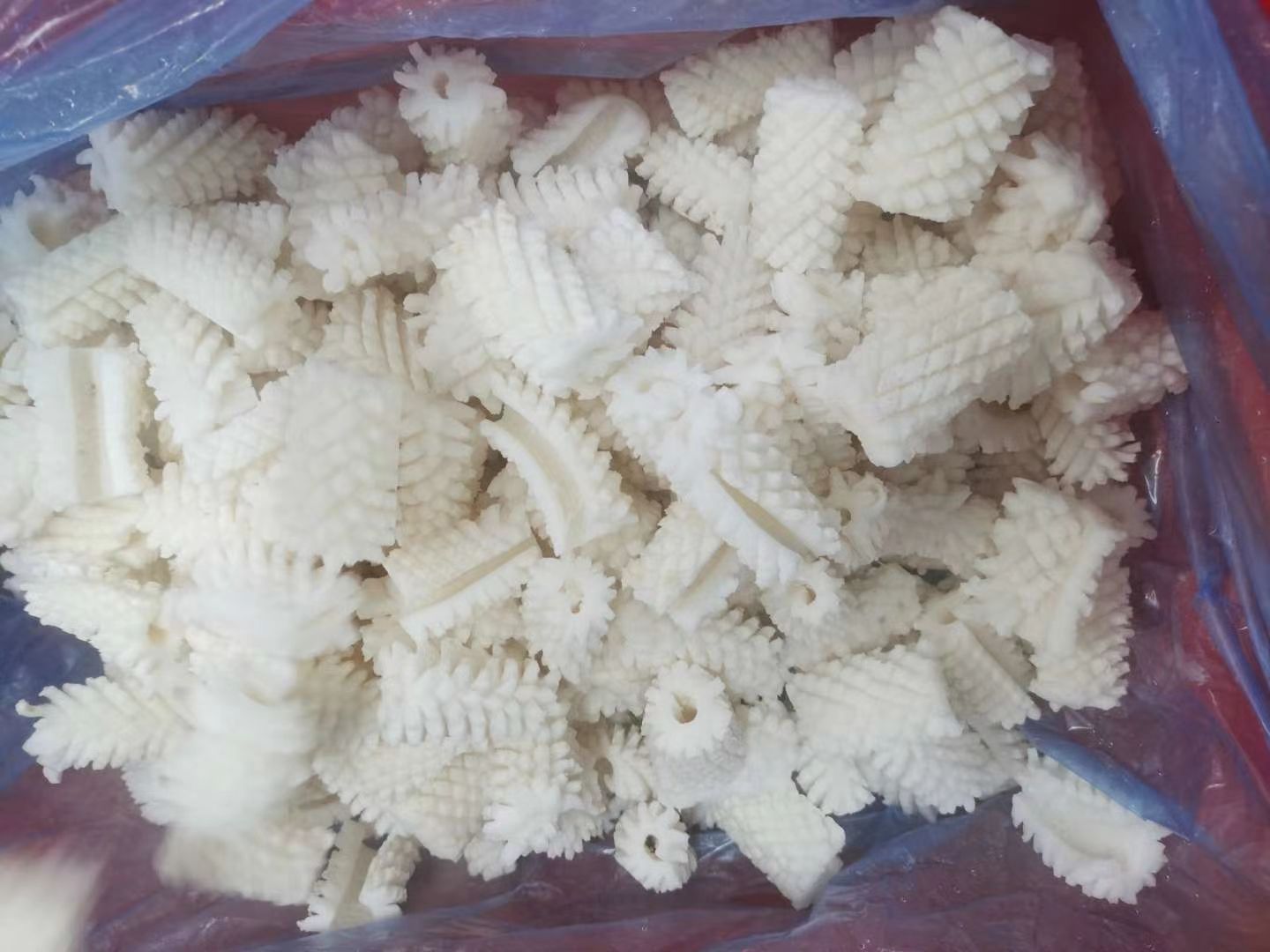鱿鱼花目鱼花
