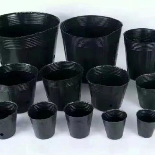 育苗袋/育苗杯/容器袋  塑料营养钵加厚营养杯育苗盆育苗袋育苗杯育苗袋一次性育苗盘