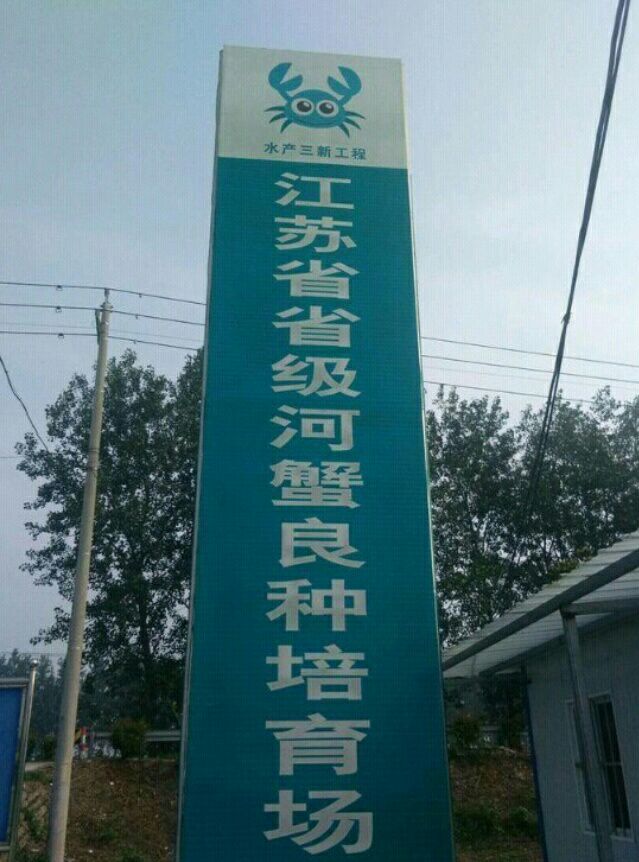 大闸蟹苗 正规基地直供优质螃蟹苗