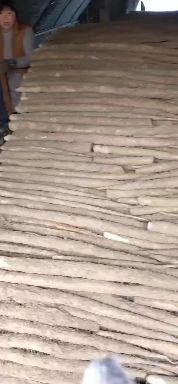 曹县九斤黄山药  颜色条行粗度可以，颜色好，价格不高。