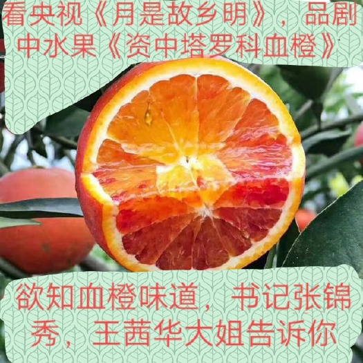 资中县塔罗科血橙 资中血橙精品大果