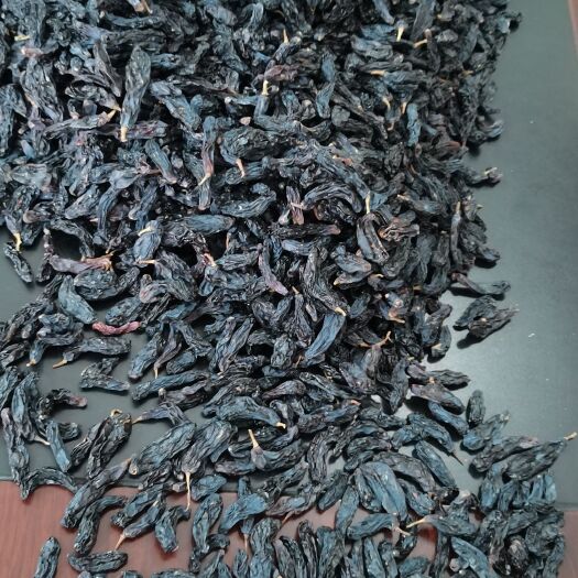 无核葡萄干  新疆特产蓝宝石葡萄干
