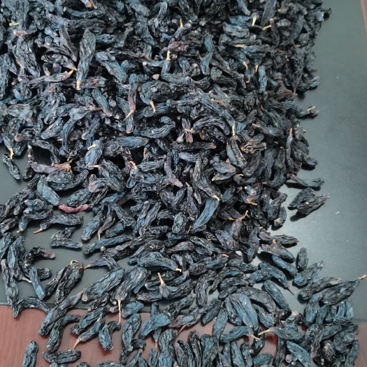 霍尔果斯无核葡萄干  新疆特产蓝宝石葡萄干