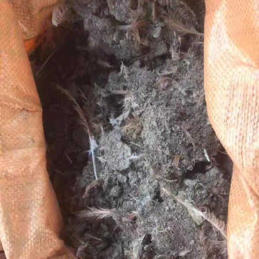 玉林鸡粪 10足干货，