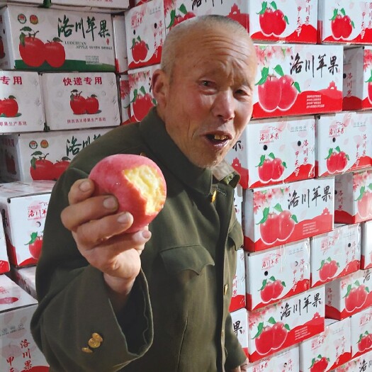 [洛川扶贫项目]陕西洛川红富士苹果脆甜口感纯商品果支持一件发