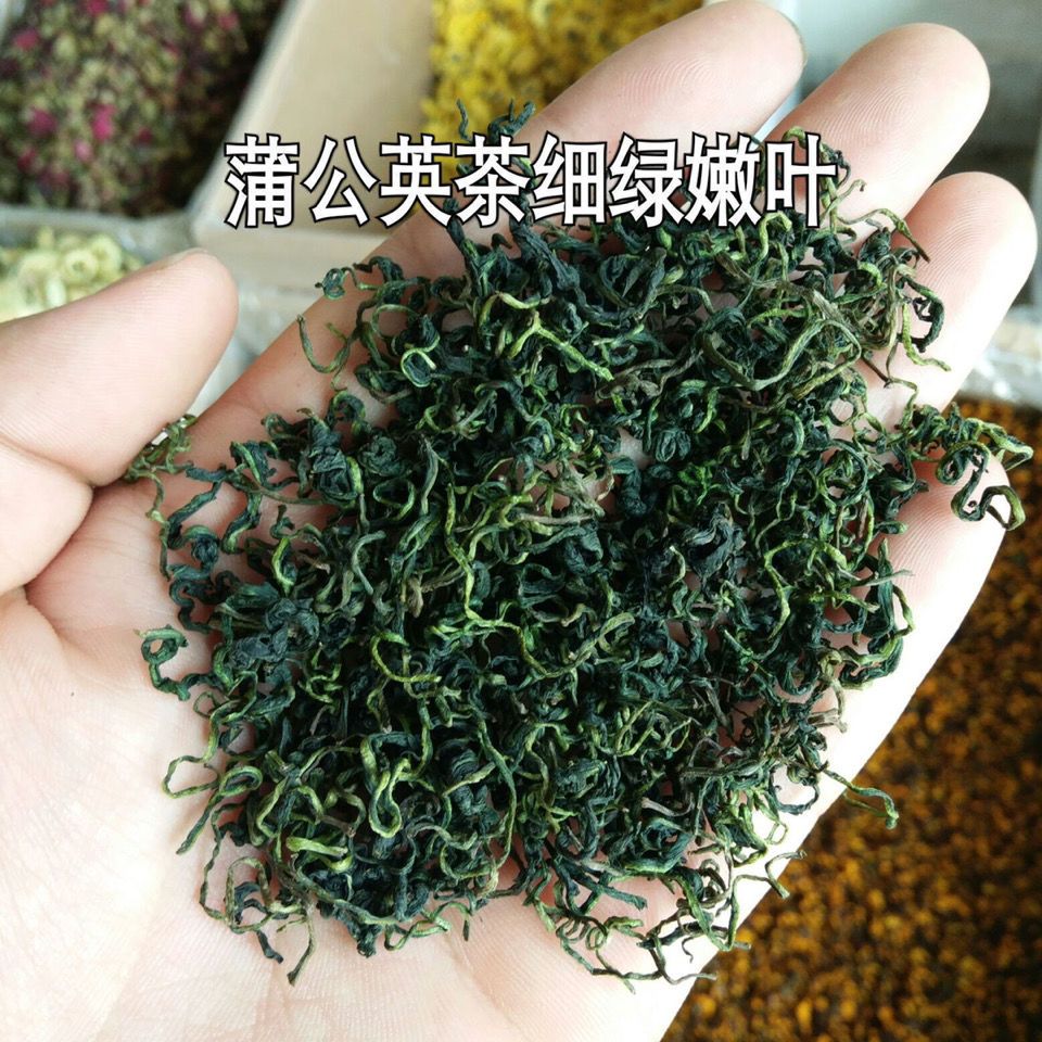 蒲公英茶   蒲公英叶   正品干货  包邮