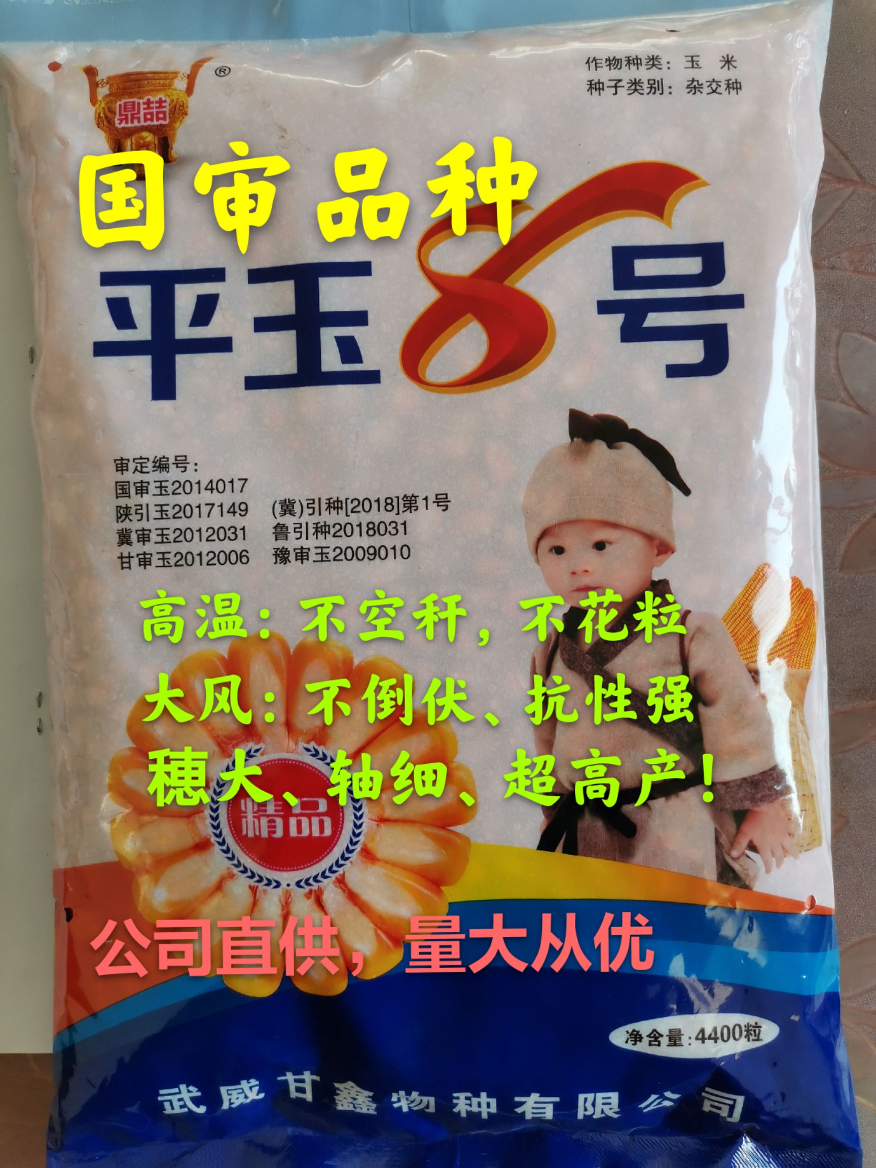 白甜糯1号玉米种 白甜糯一号华良165玉米种子华良公司直供大棒高产