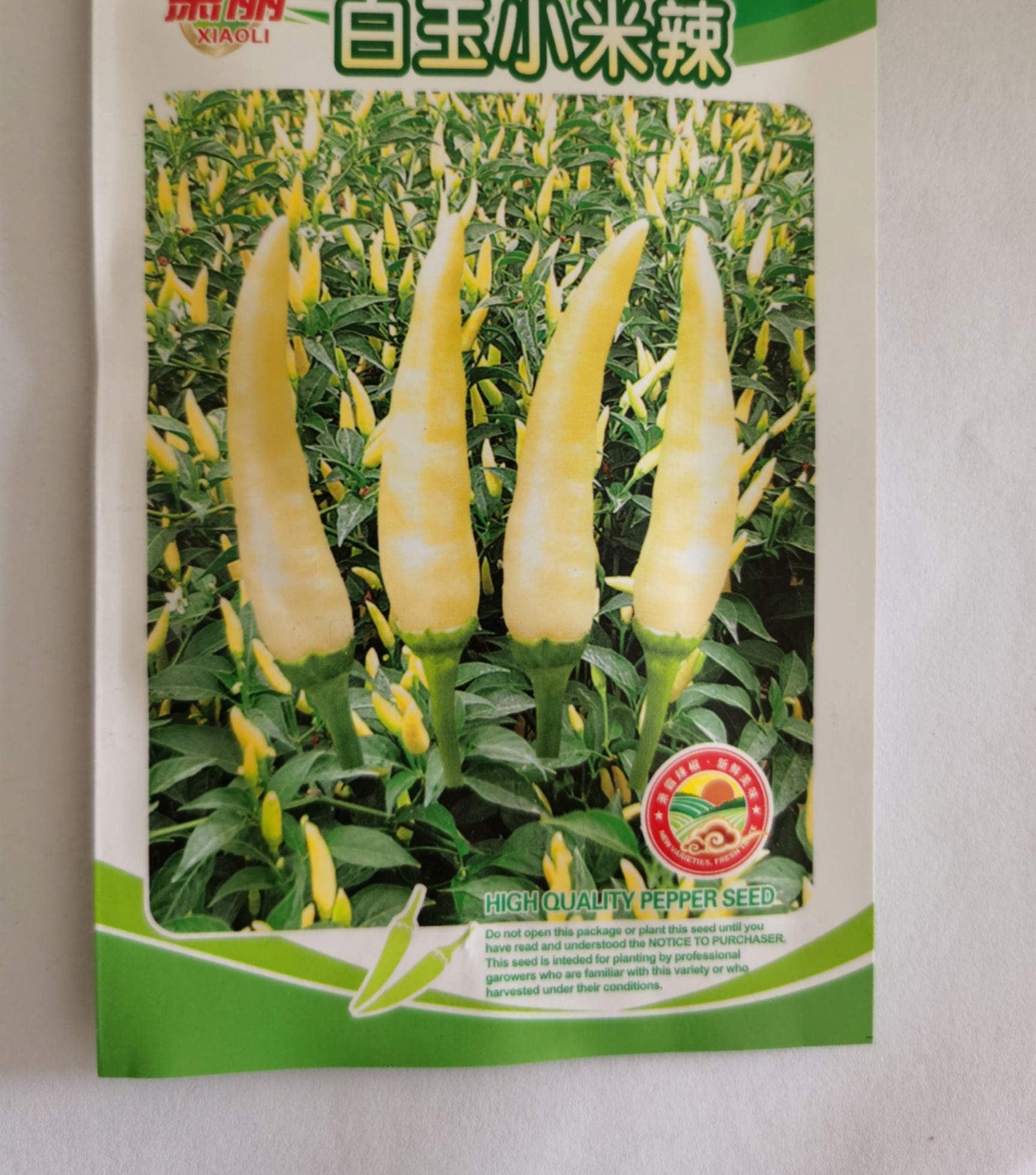 小米椒种子  白玉白小米辣椒 朝天型 辣味 早熟 高产抗病