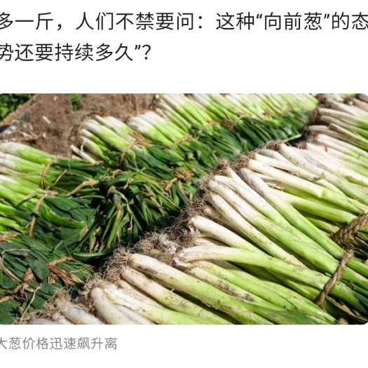 虞城县葱仔  鲜，