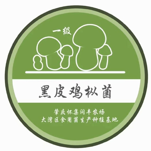 怀集县食用菌“黑金”-【黑皮鸡枞菌】