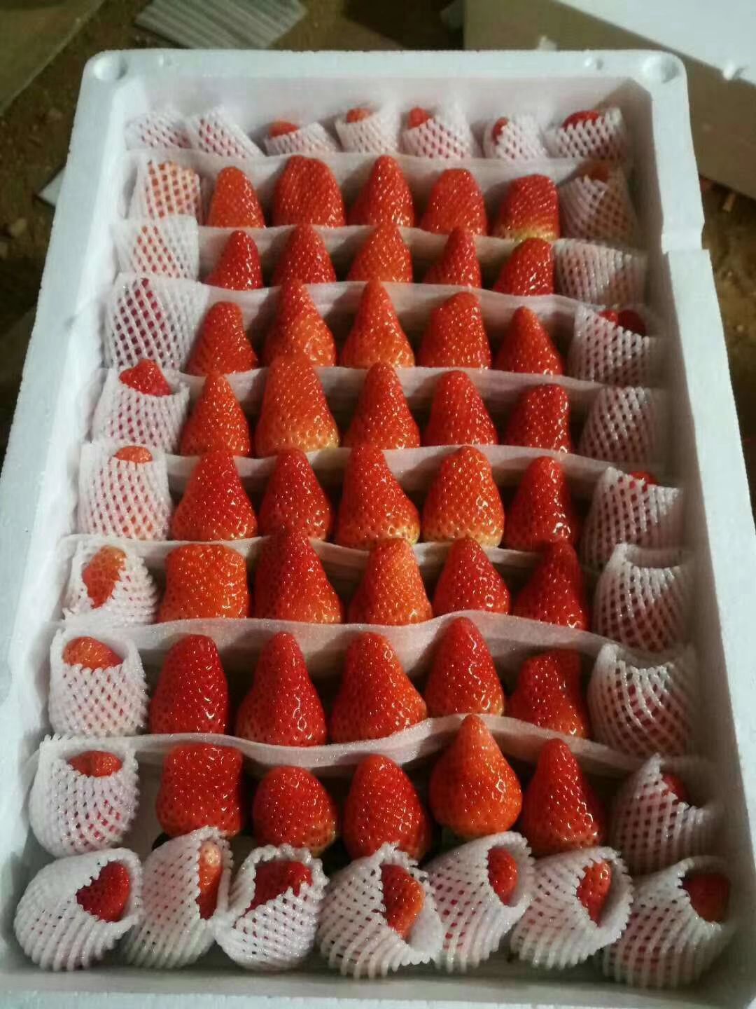 白雪草莓 草莓代办欢迎您的加入