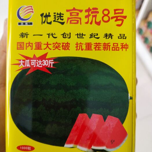 扶沟县西农8号西瓜种子  抗枯萎病 抗重茬 质脆多汁大