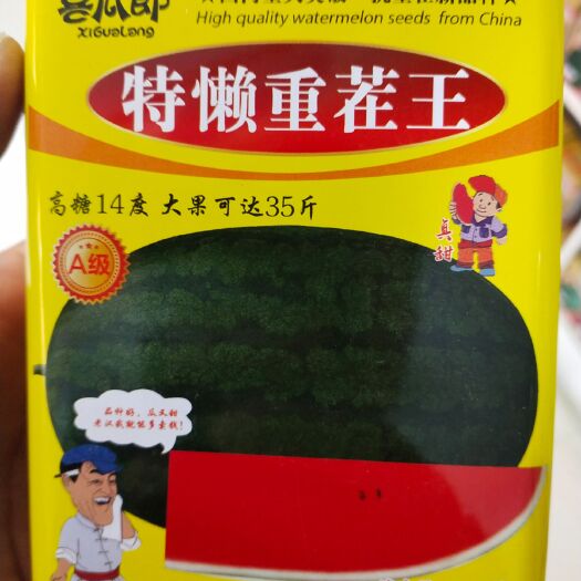 扶沟县重茬西瓜种子  懒重茬，高糖14度左右，大果