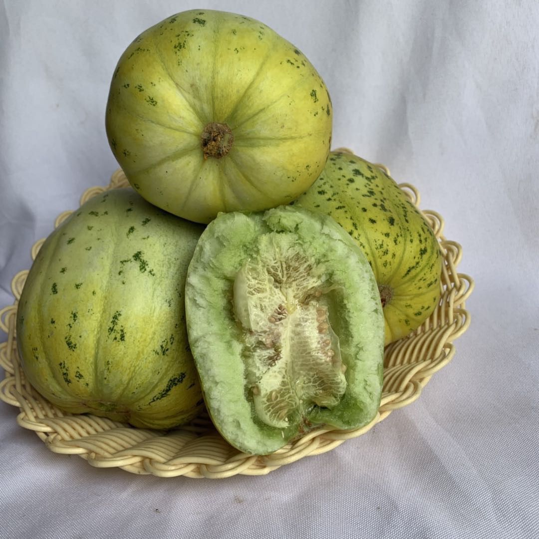 羊角蜜甜瓜 山东省聊城市莘县 特级果