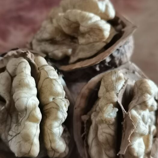 南华县山核桃 云南核桃，皮薄肉满