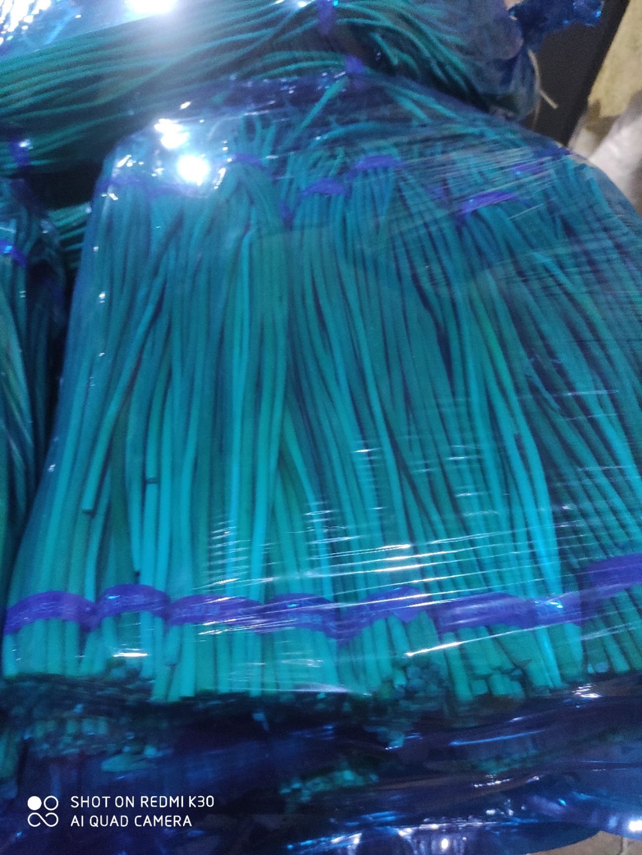 红帽蒜苔  金乡优质蒜苔大量供应，产地直销一吨起批随到随装