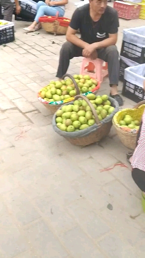 陕西蒲城早酥梨，汁多味甜