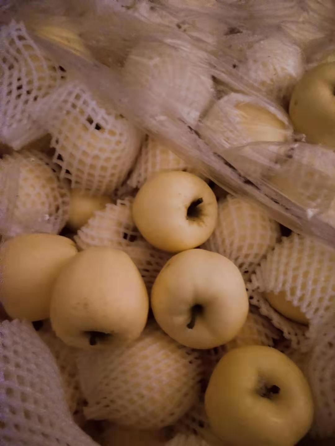 黄元帅苹果 甘肃省秦安县黄元帅口感良好