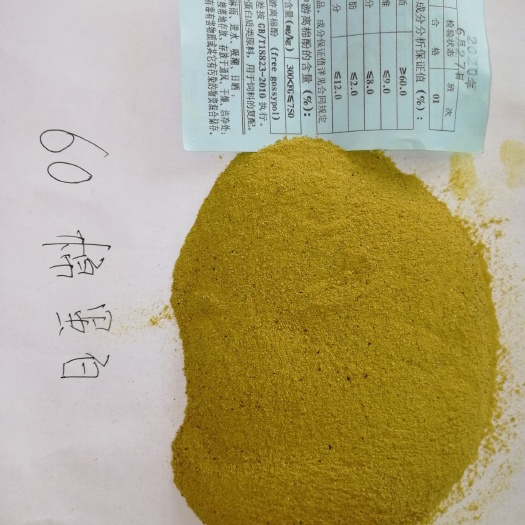 呼图壁县饲料鱼  蛋白质饲料