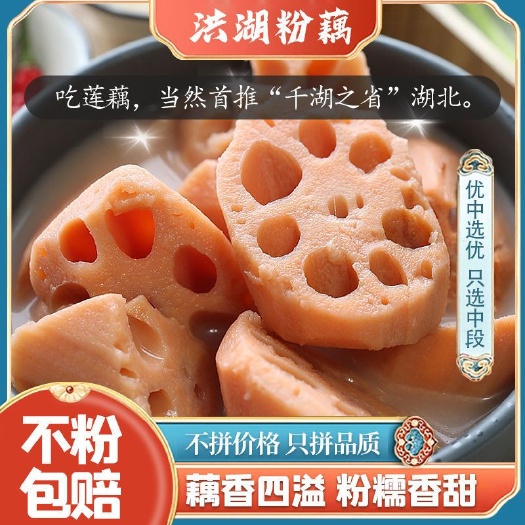粉藕 洪湖莲藕,地标授权,现采现发,千亩基地直供!
