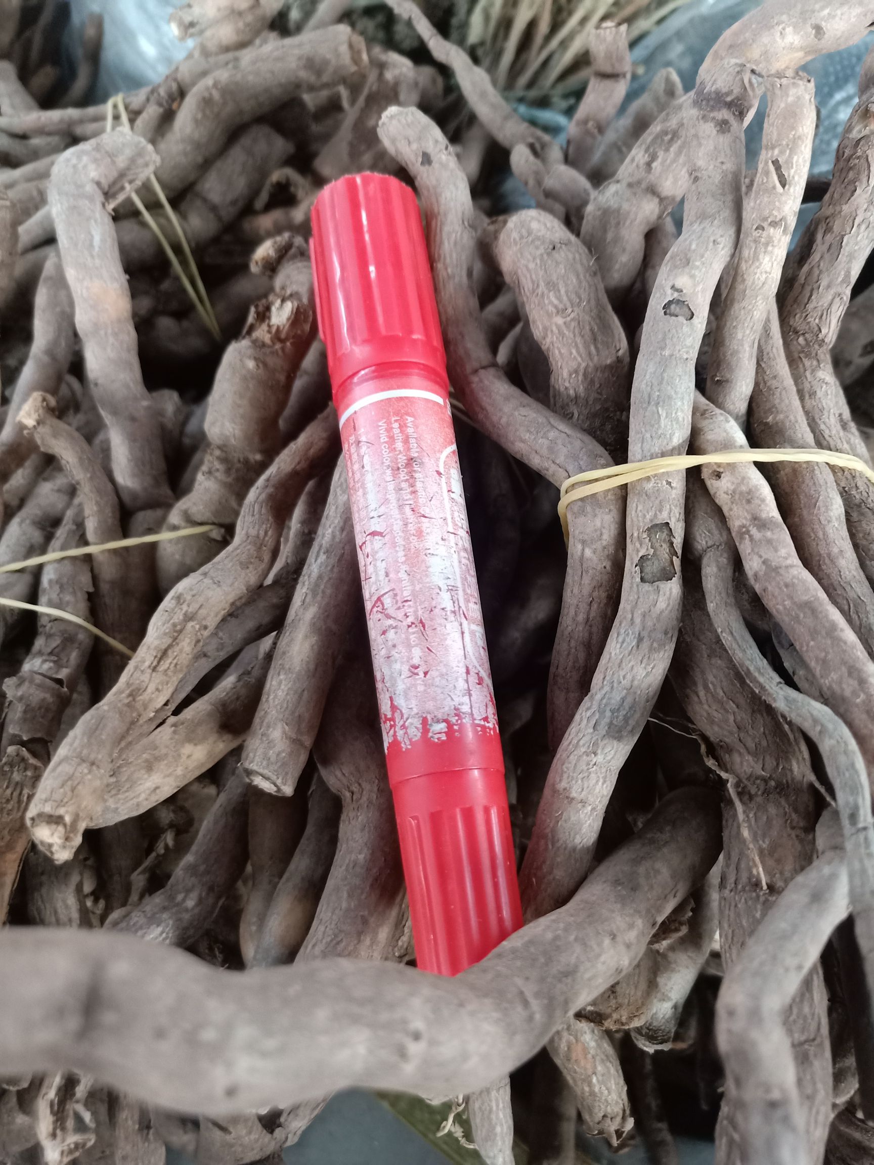 [生藤批发]云南普洱大山里的生藤别名羊角藤,冷水发