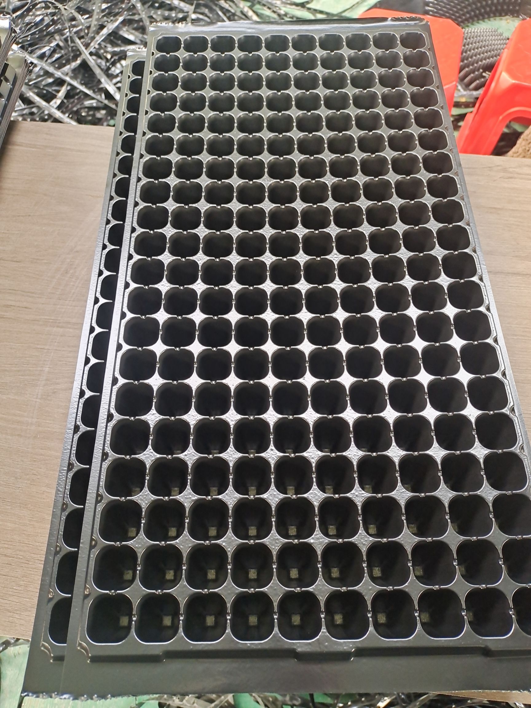 穴盘/育苗盘  100克，200穴黑色