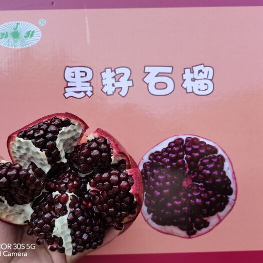 永胜县黑籽石榴树苗  新品种晚熟大果型黑籽石榴苗
