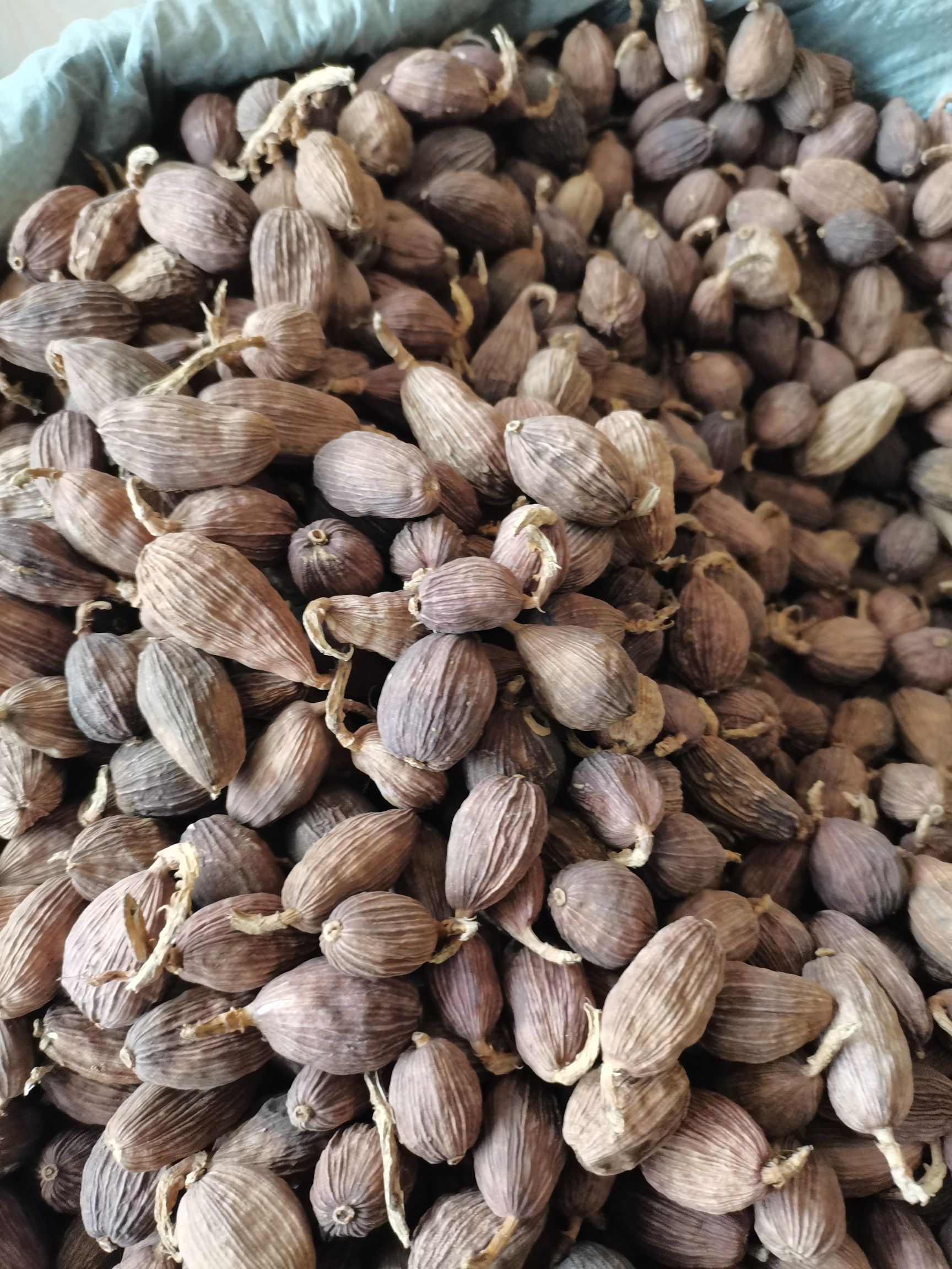 云南草果全干炭烤无硫新货电烤无硫选货，大量供应，批零兼营