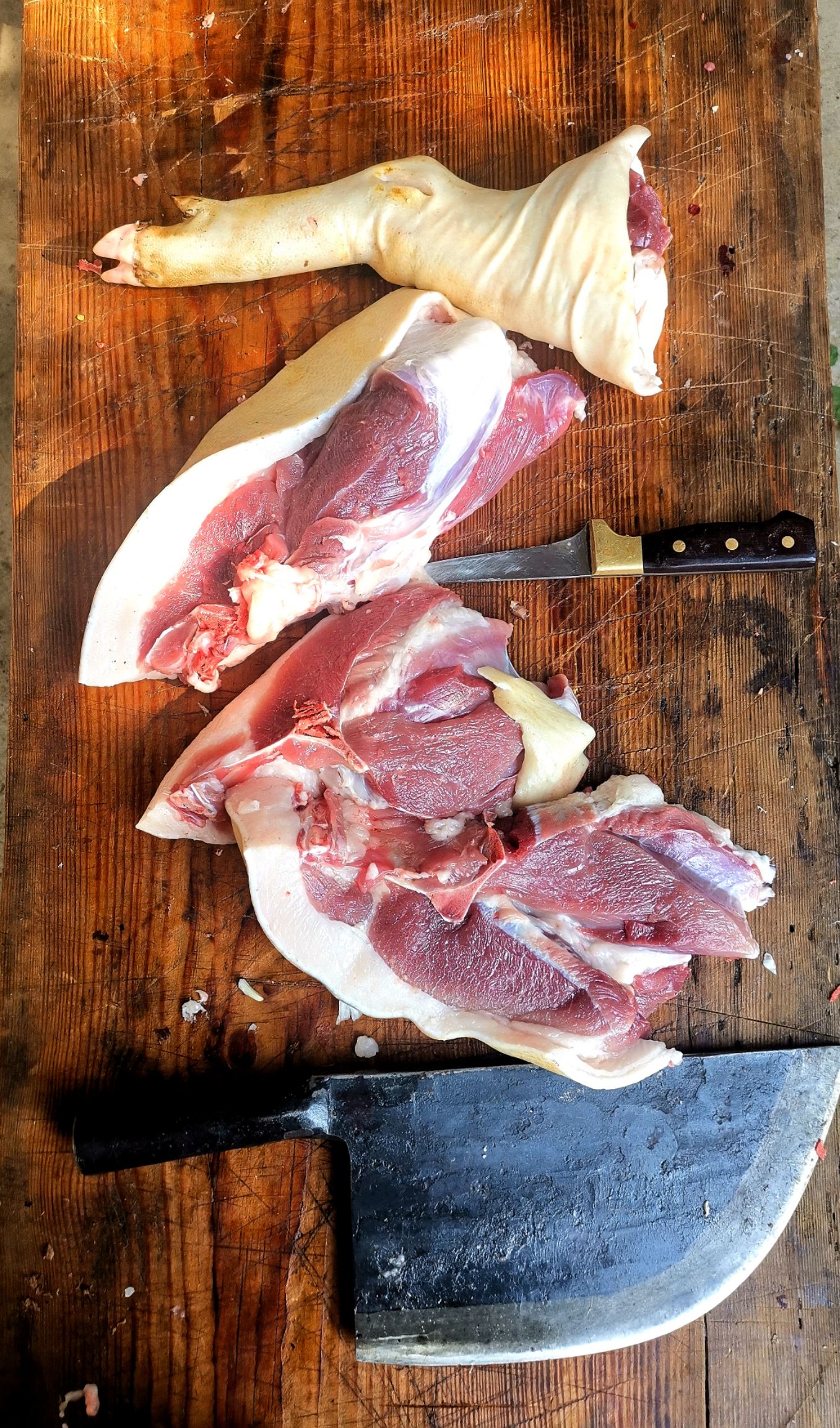 土猪肉  岭南跑山黑猪