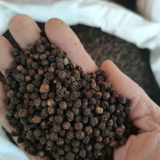 玉林缅甸越南黑胡椒大颗粒足干无硫无杂质大货供应，批零兼营质优价美