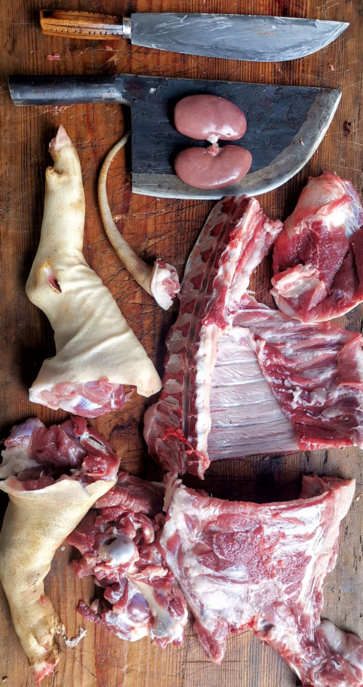 土猪肉  岭南跑山黑猪