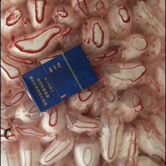 白鲢鱼鳔:鱼泡:一手货源:产地直发:包邮:欢迎咨询下单。