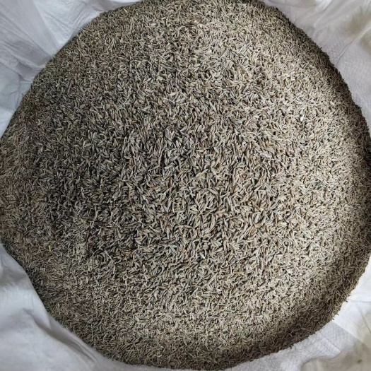 玉林新疆孜然特级货不掺假香味浓，
精品新标孜然大货供应批零兼营