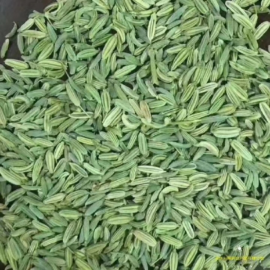 玉林国产  特绿小茴香包含量包过检各规格齐全批零兼营小茴行情上涨