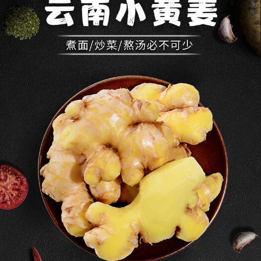 马关县 云南小黄姜现挖新鲜生姜批发嫩姜鲜姜新姜老姜土姜