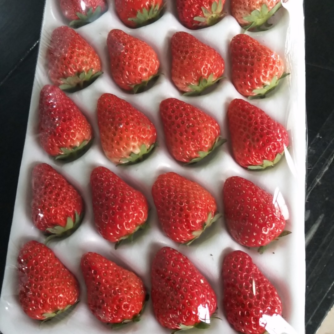 红颜草莓  胶盒20粒－15粒