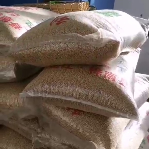 桦南县黑龙江省高蛋白质大豆，塔豆标准，蛋白40%，水份12%，