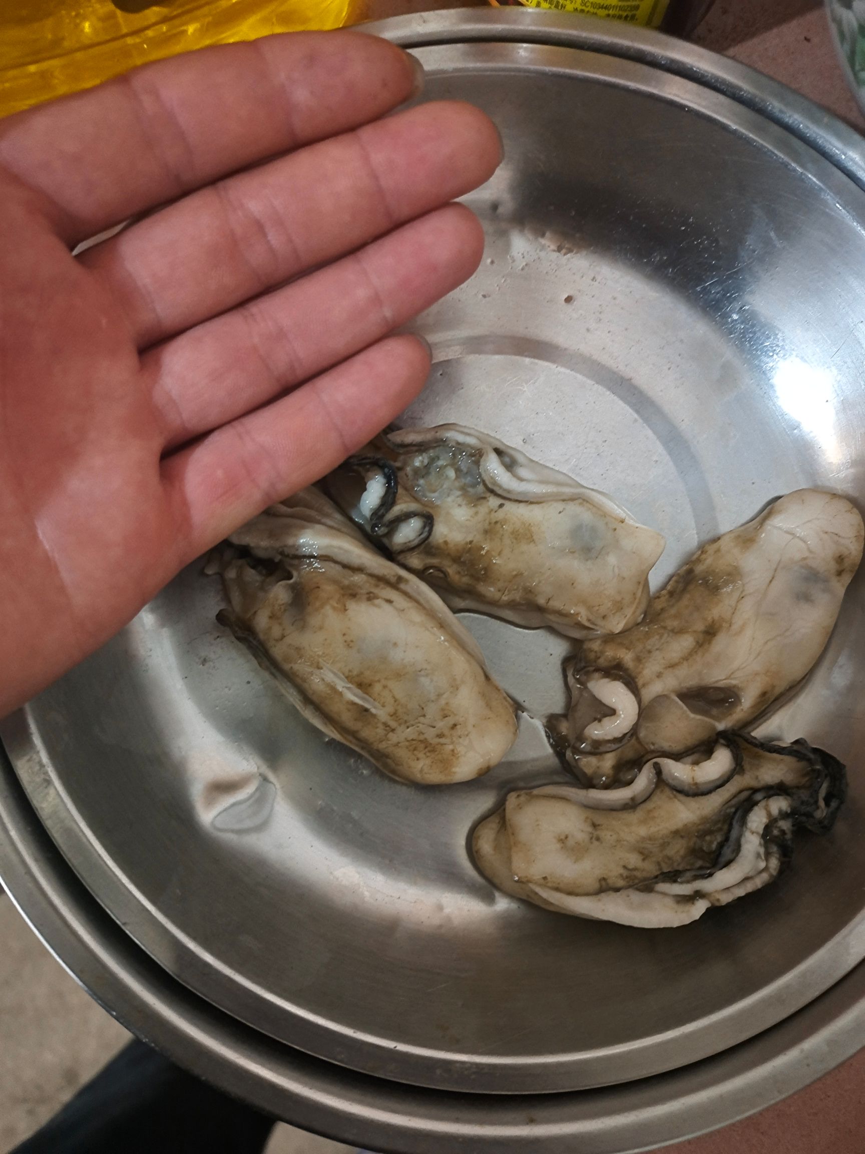 珍珠蚝 珠海生蚝，脆甜，盐度23