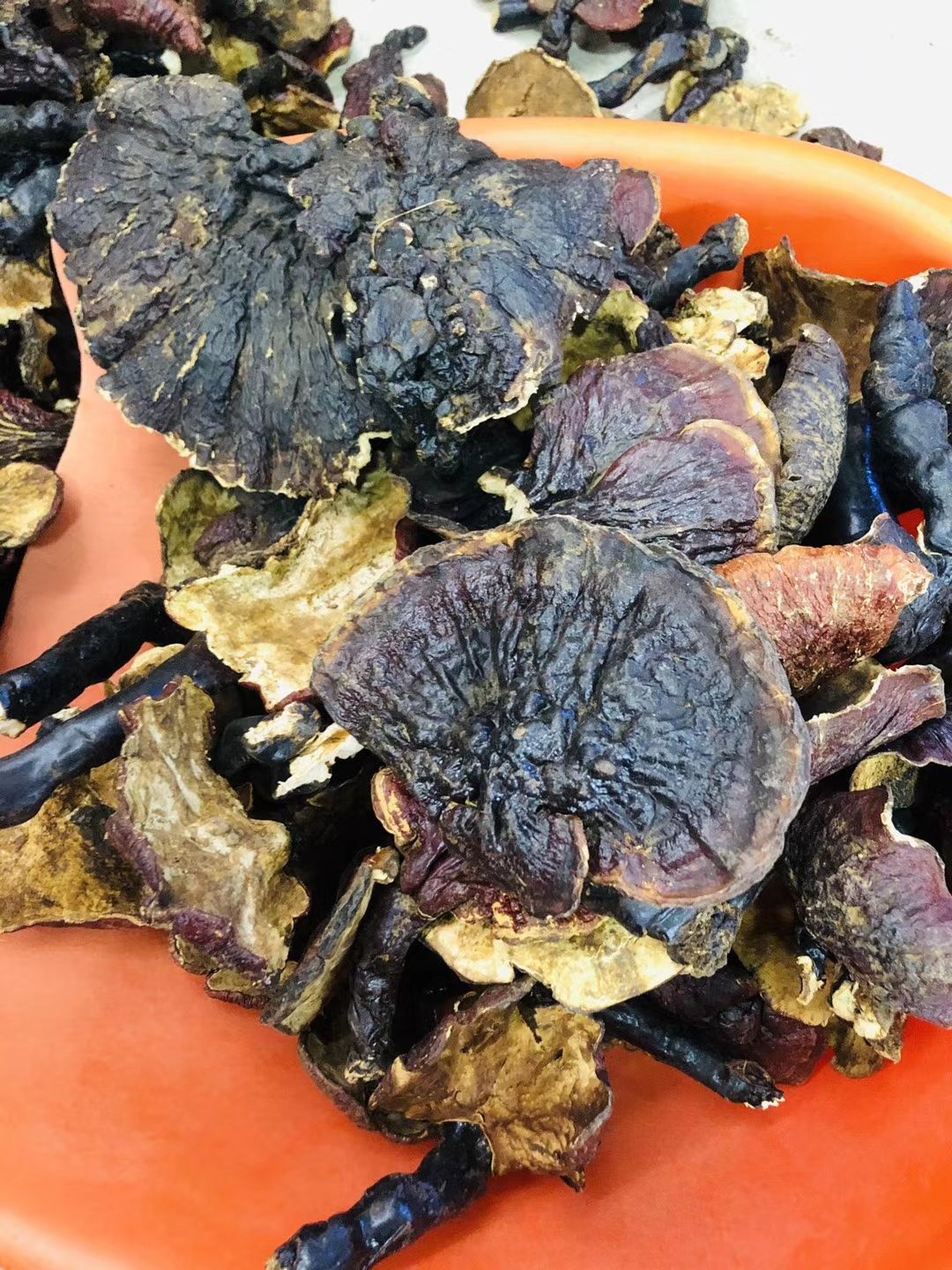 紫灵芝 西藏灵芝