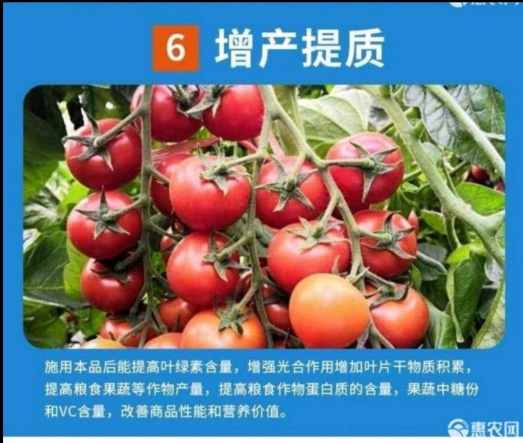 水溶肥 低温酶解鱼蛋白高活性氨基酸水 溶肥生