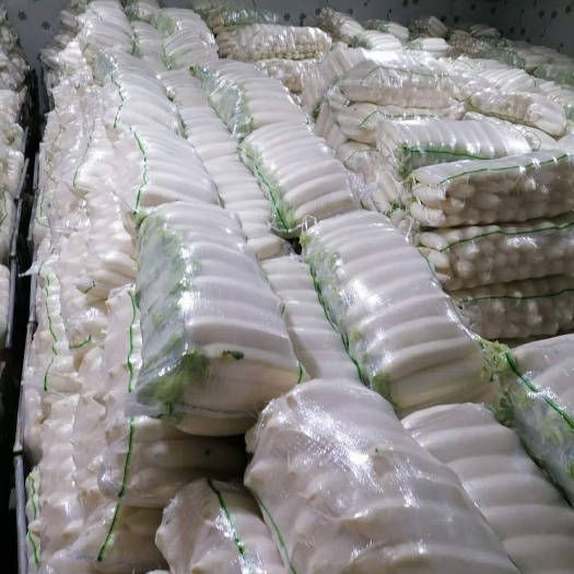 重庆市白萝卜  纯白精品萝卜，纯4排包