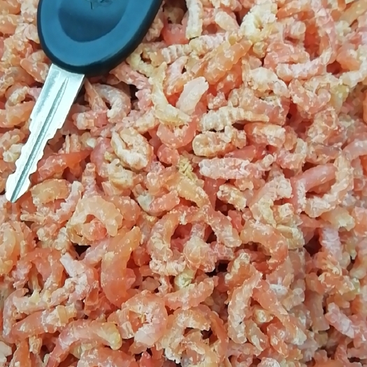 滨州精品金钩海米，各种规格都有货品种齐全产地直销常年供应大量有货