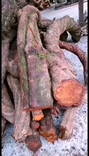 红藤 大量收购贵州鲜货干货大量收购