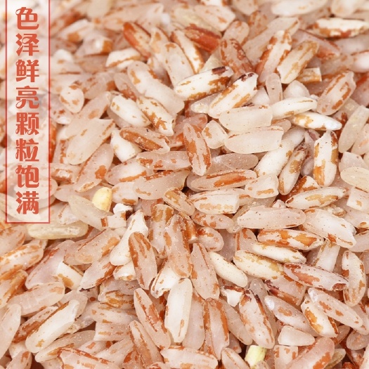 贞丰县 贵州特产香红米