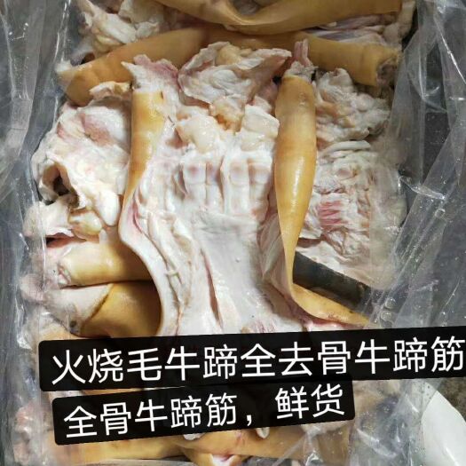 阳信县全去骨牛蹄筋筋！质量全大公牛大量有货。