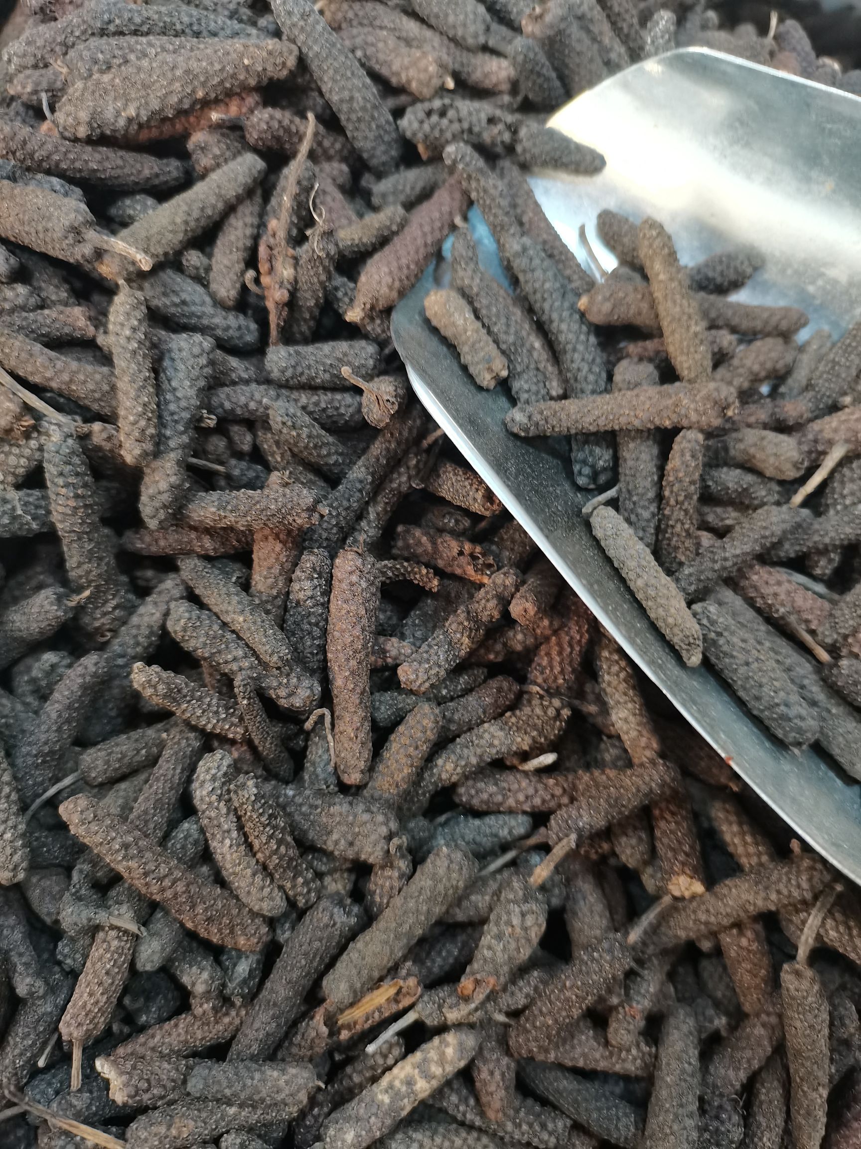 荜茇  毕拨果  毕茇，原货大毕苃，水洗大毕苃，中小毕茇，大