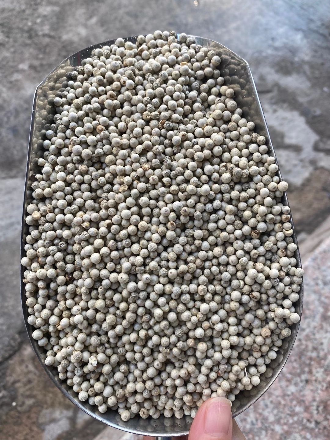 海南胡椒手选货香辣足干不掺假无漂白，不好包退包运费