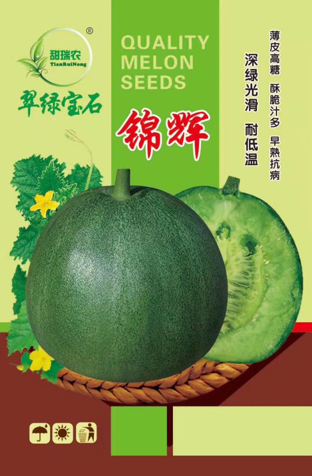 日本甜宝甜瓜种子  精品小白瓜种子，甜瓜种子，抗病甜瓜种子